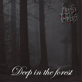 Entrevista a HIEMS IN TENEBRIS (Especial Black Metal Nacional)
