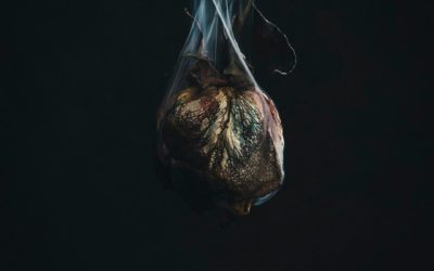 TRIVIUM presenta nuevo disco y videoclip
