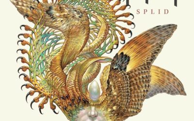 KVELERTAK adelanta un tercer single de su nueva obra «Splid»