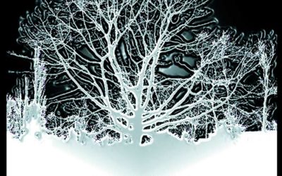 HAKEN publica en Bandcamp demos y rarezas inéditas