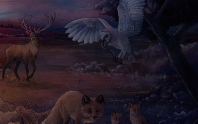 Entrevista a BEAR THE STORYTELLER: «Desde el principio he querido que este proyecto no se quedara solo en el apartado musical»