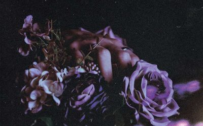 TREES WILL TELL ya tiene su segundo álbum disponible