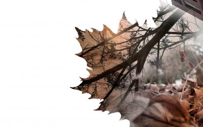 ARISE presenta nuevo videoclip para «[Des]Conexión»