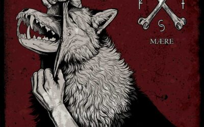 HARAKIRI FOR THE SKY estrena el tercer single de «Mære»