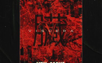 VEIL OF MAYA lanza nuevo tema «Viscera» con vídeo animado