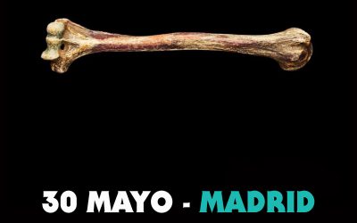 Gira española de WHORES en mayo